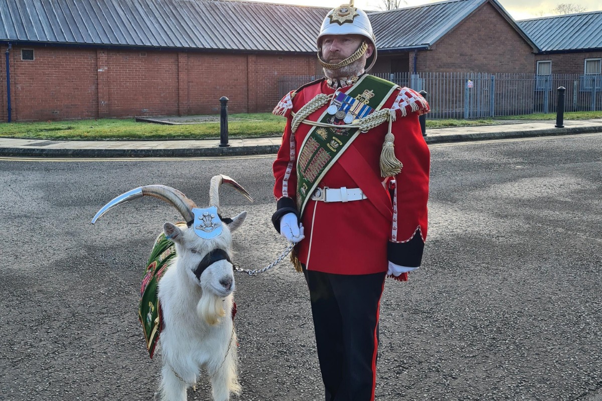 The Offa Community Council project aims to erect a bronze life-size sculpture of a Royal Welch Fusilier with the regimental goat in a flood-lit landscaped setting.