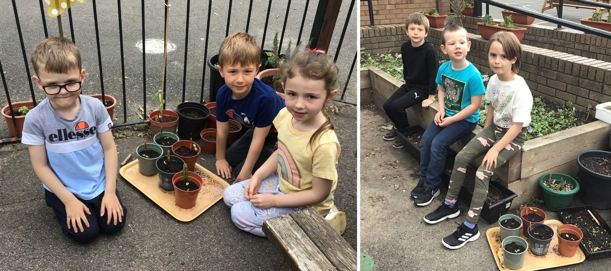 Some of the youngsters at Ysgol Licswm taking part in outdoor learning.