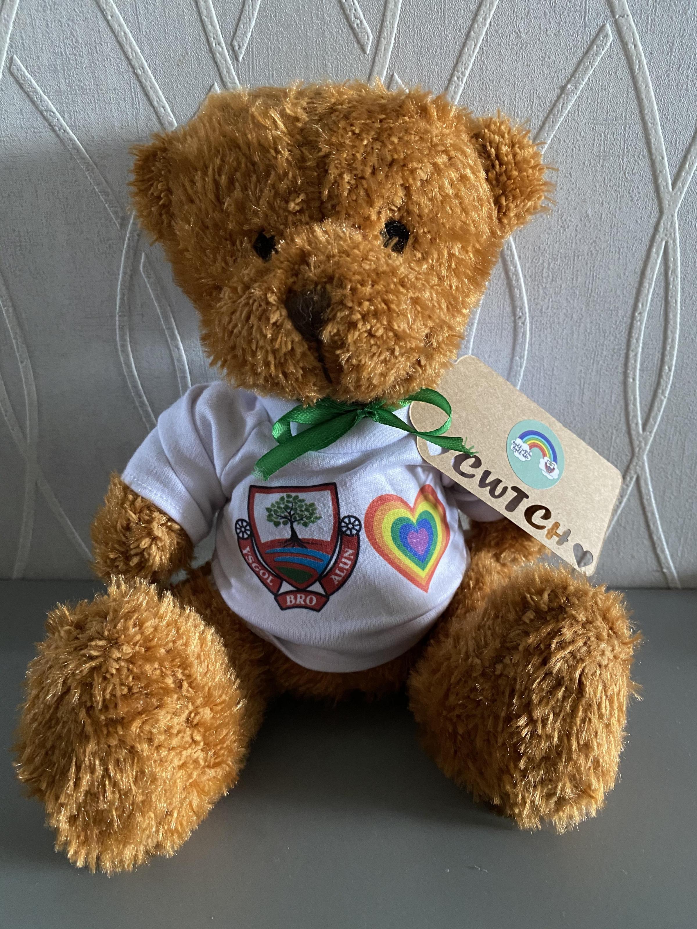 One of the thank you teddies gifted to every child at Ysgol Bro Alun.