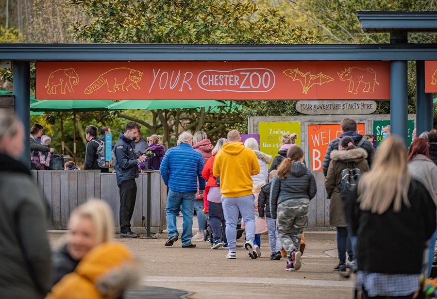 Chester Zoo has recorded astounding success with visitor numbers despite being closed to the public for three months in 2021.