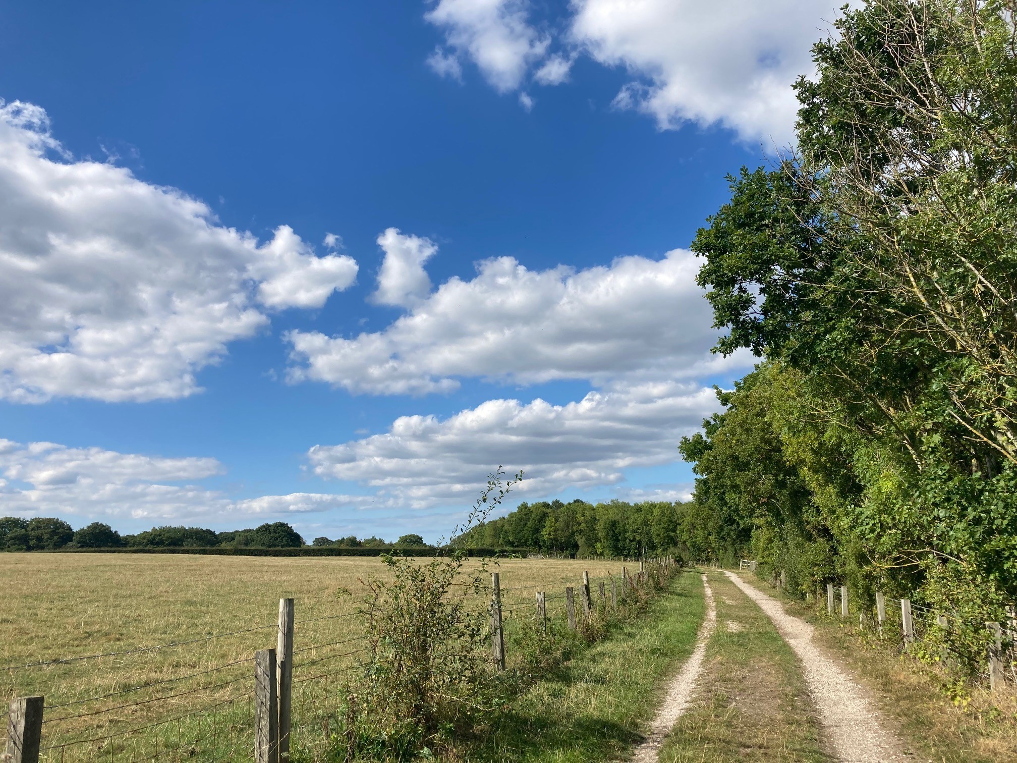 Along the Buckley Heritage walk.