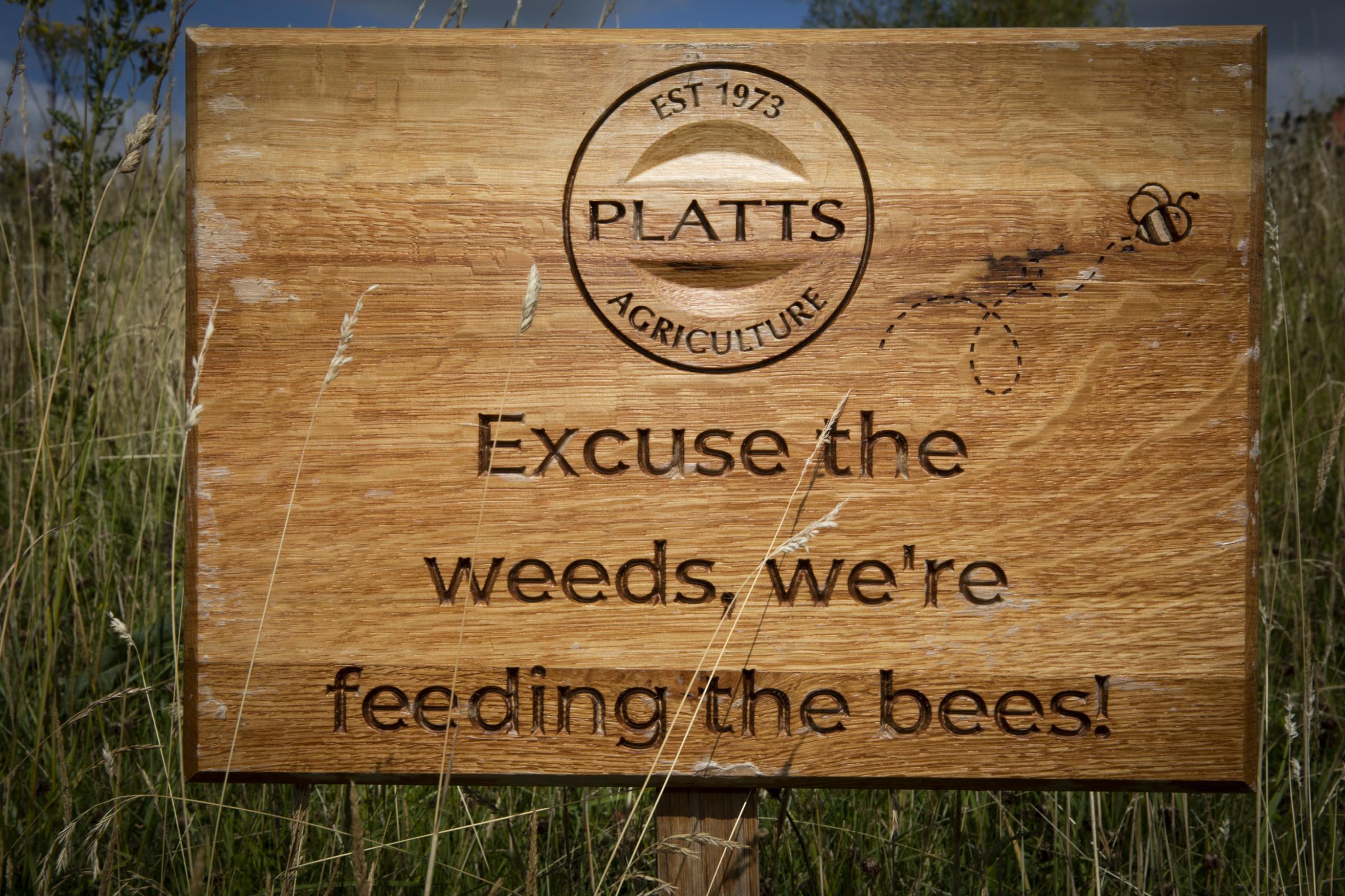 Platts Pasture - Platts Agriculture accredited Green Dragon award. Photo: Mandy Jones