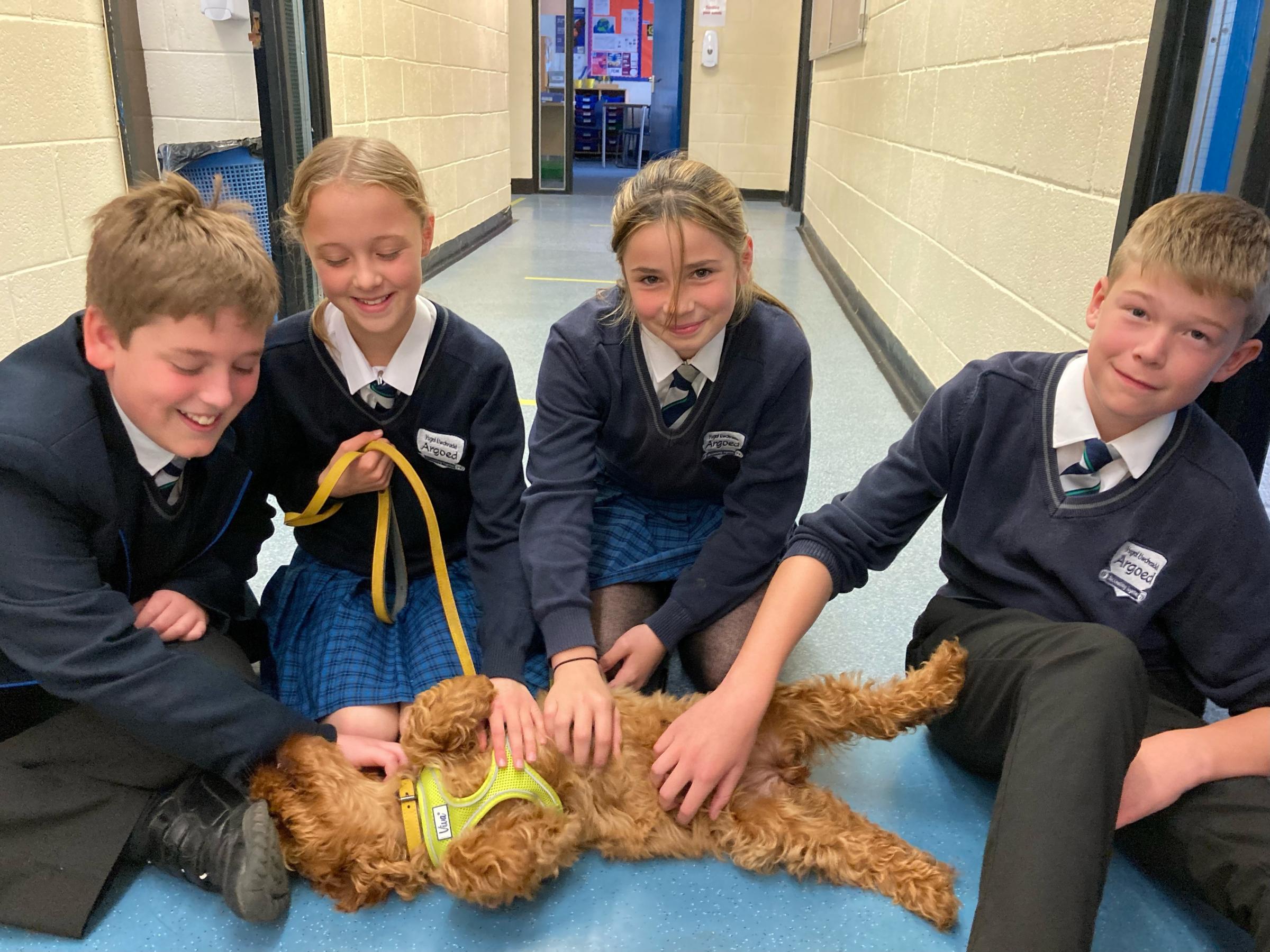 Year 7 students Zach Austin, Ellie Williams, Lillie Halliday Louix Crossley with Islay, the school’s wellbeing dog.