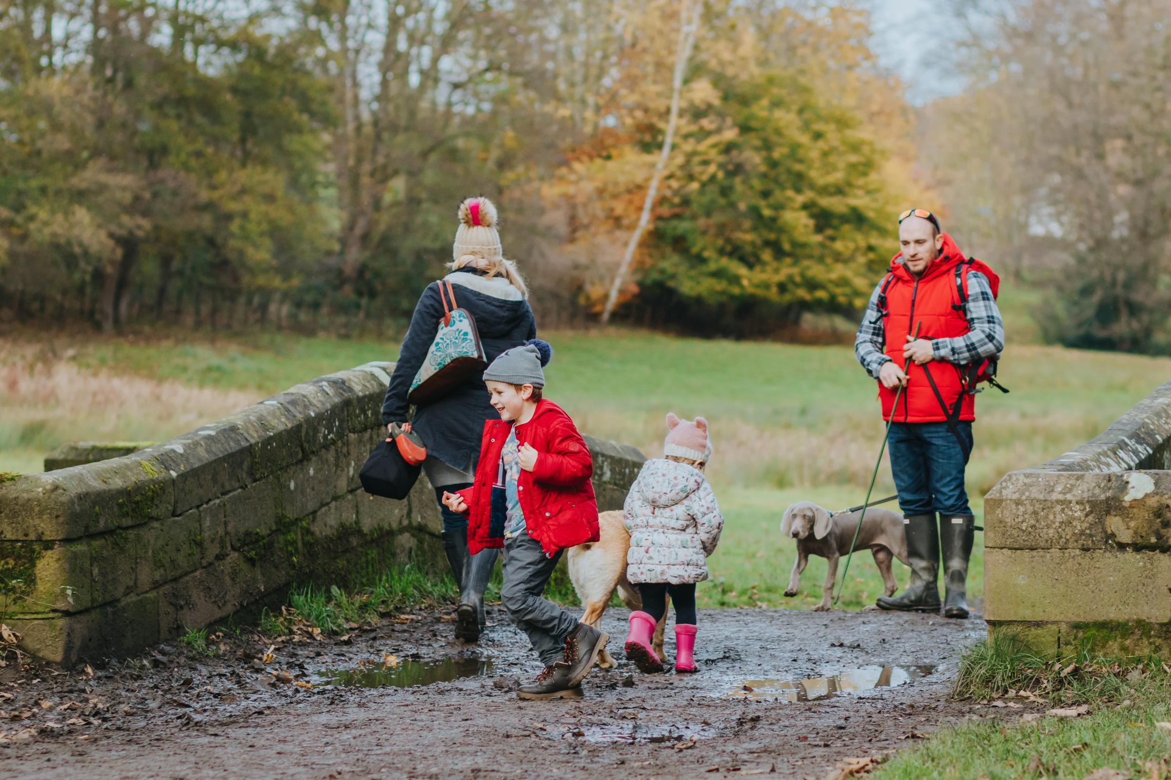 Family playing poohsticks on the bridge in the parkland at Erddig. Photo: National Trust Images/Natalie Overthrow