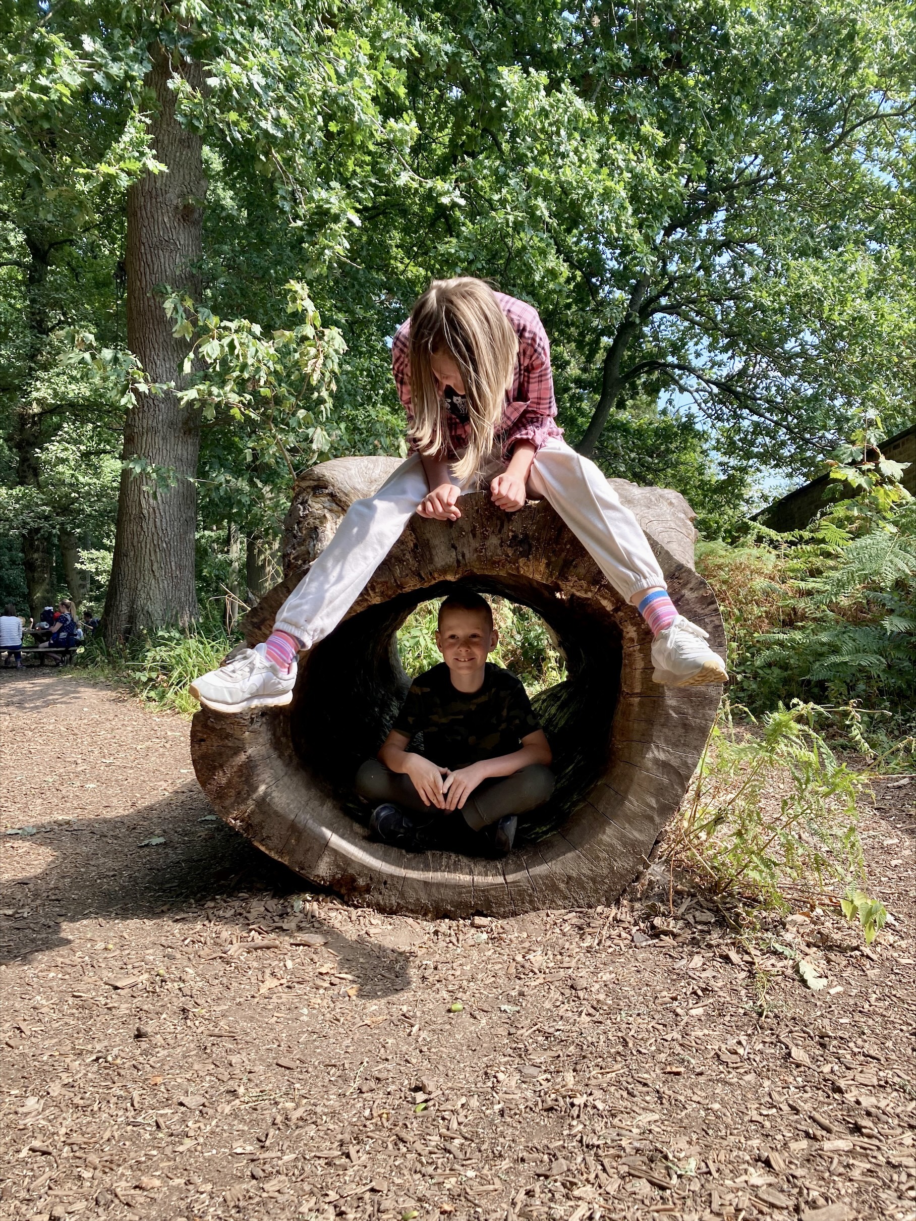 Getting in touch with natuire and feelings during Nightingale House Hospices Woodland Wellbeing Days at Erddig.