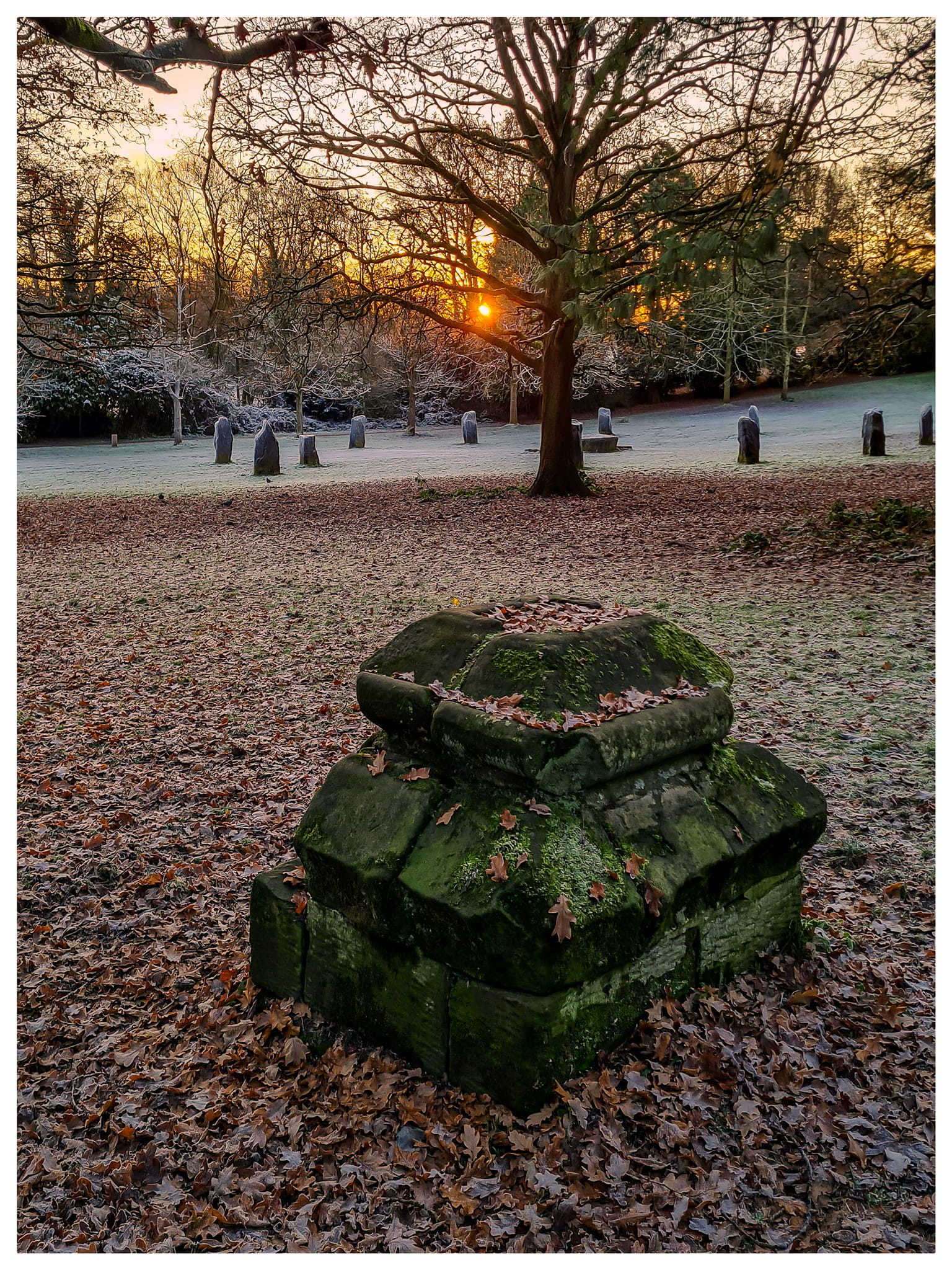 Sunrise at Acton Park. Picture: Stuart Rhys Jones