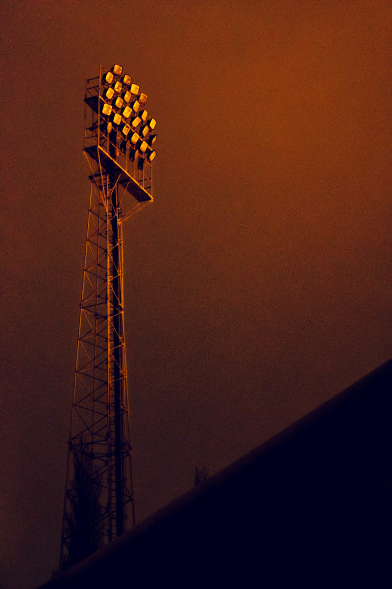 Golden light at Wrexhams Racecourse ground. Picture: Oliver Stephen