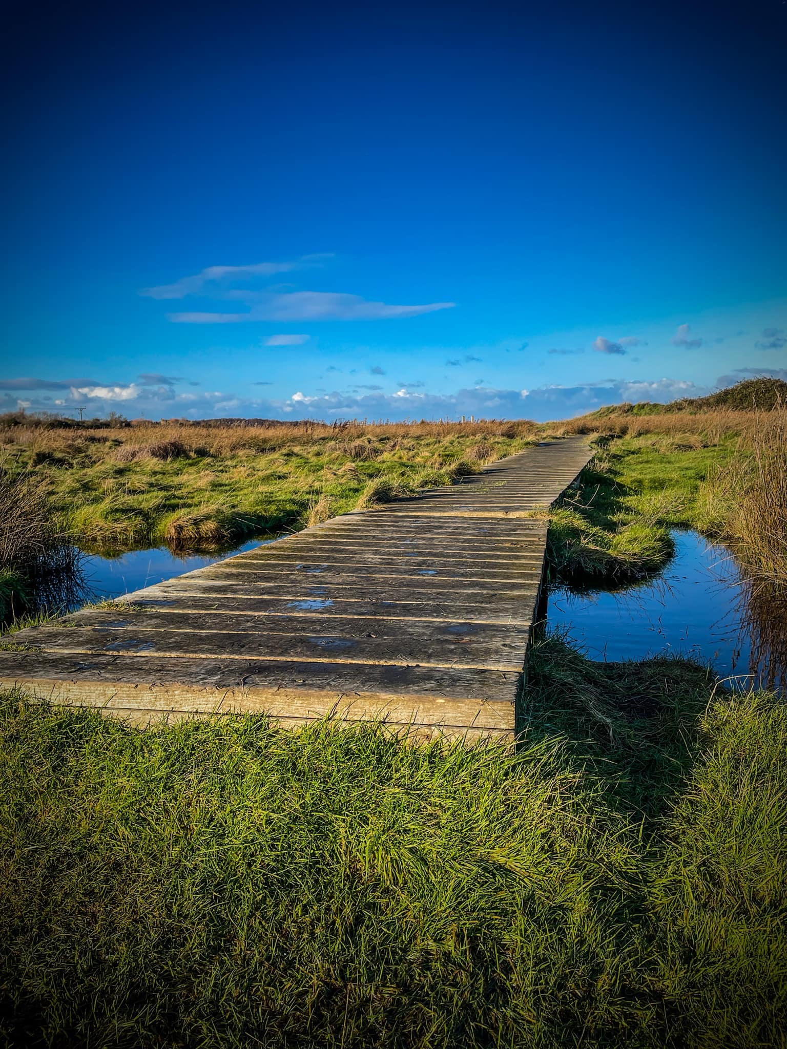 Coastal path by Flint Castle. Picture: Gareth Davies