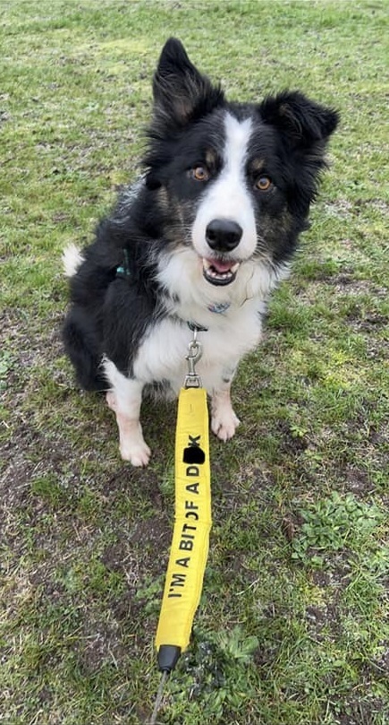 Sophie Parry shared a photo of Ronnie with his amusing slip lead.