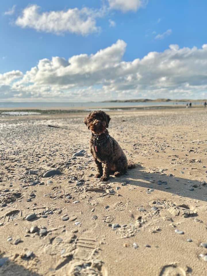 Ted on the beach during his first holiday, sent in by Alicia Crossman.