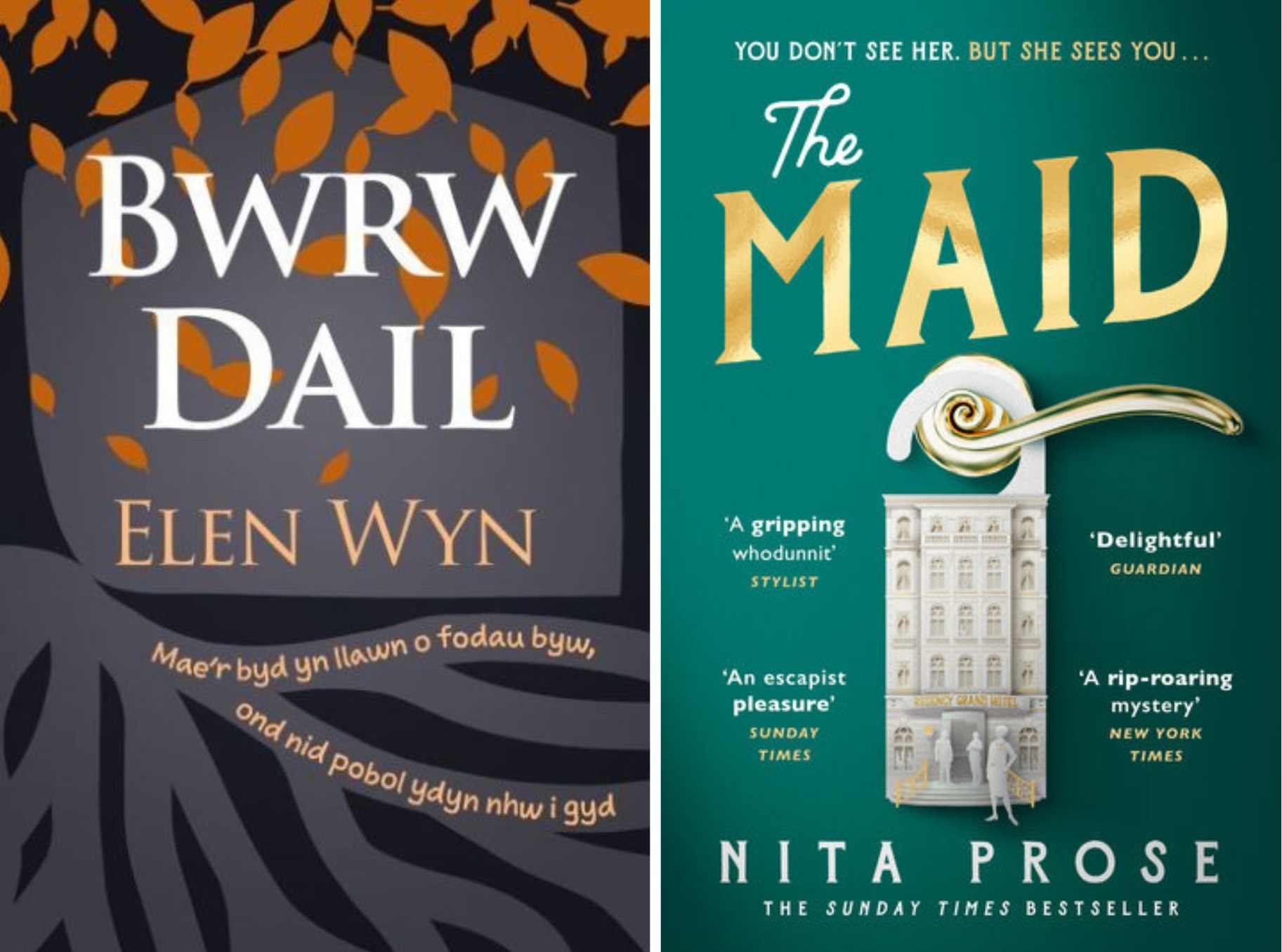 Bwrw Dial by Elen Wyn, and The Maid by Nita Prose.