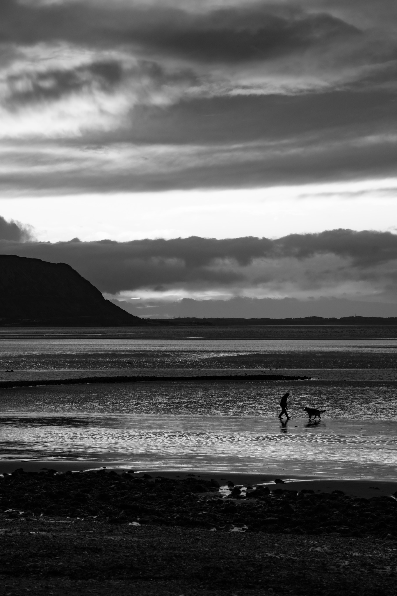 Beach life. Picture: Beatts Photography