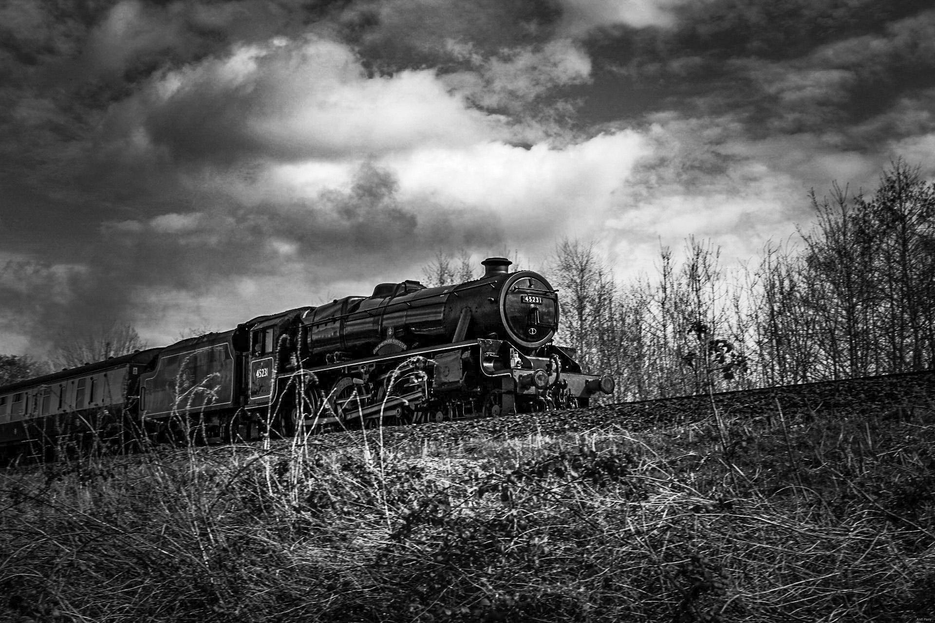 Locomotive. Picture: Ann Parry