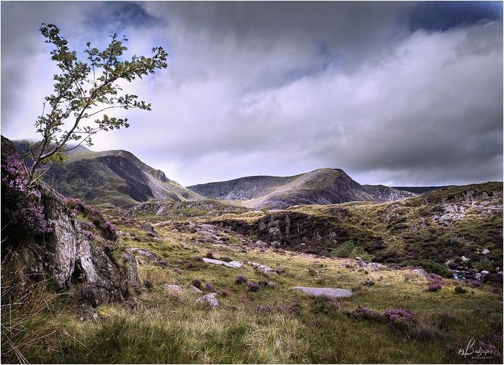 Above Ogwen. Picture: John Hallard