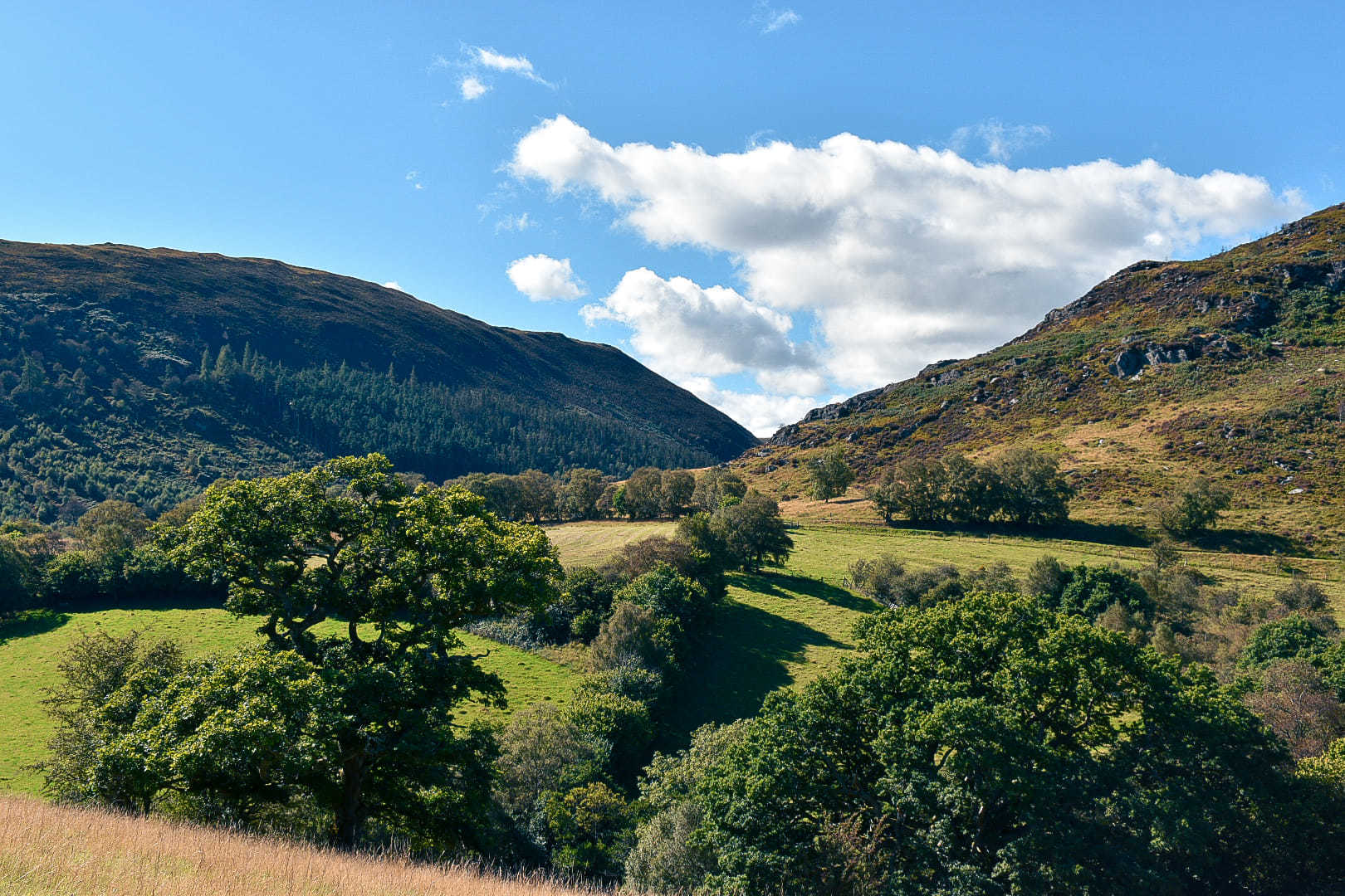 Gilfach Nature Reserve, Rhayader. Picture: N.J Photography