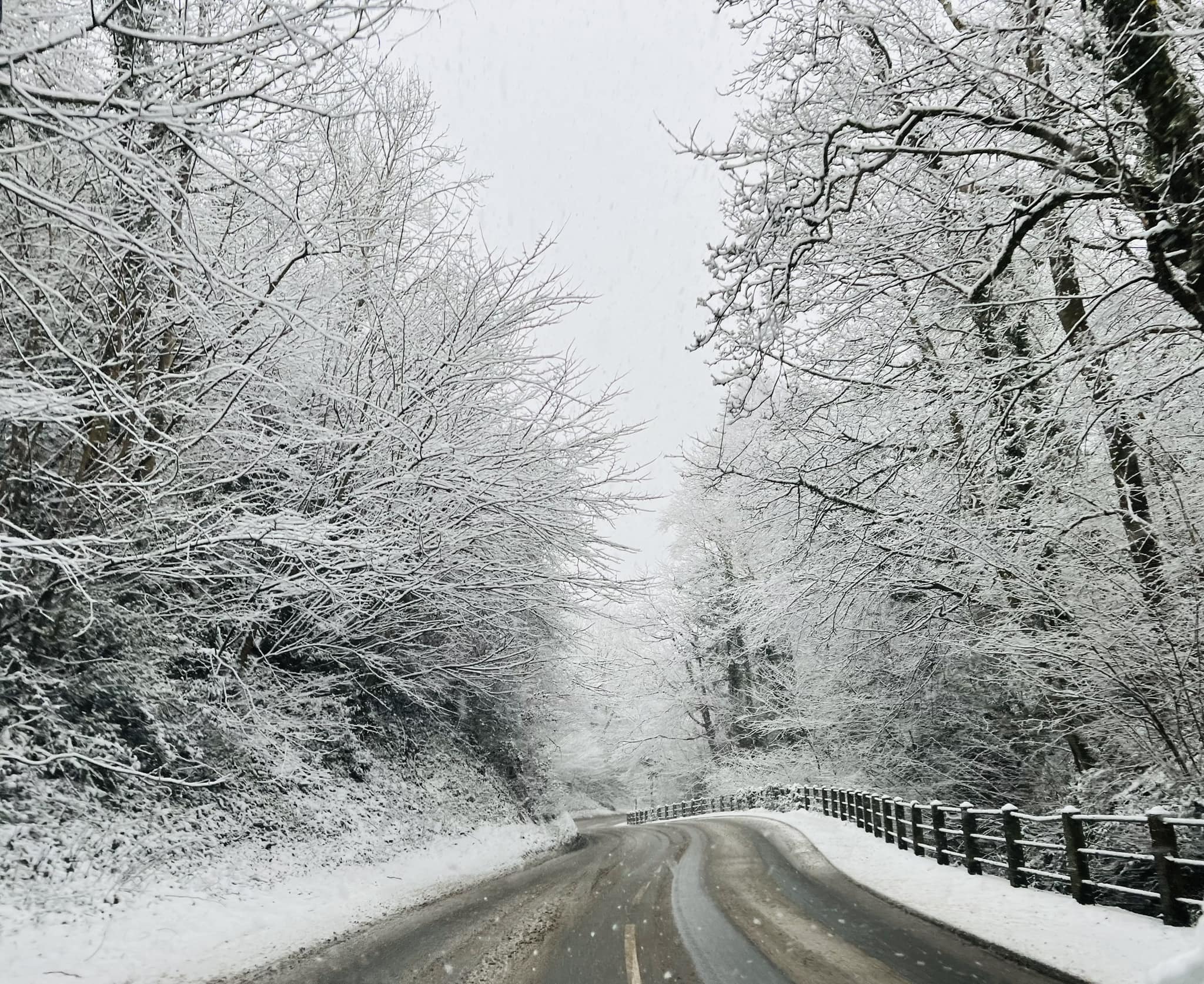 Winter wonderland. Picture: Sean Hughes