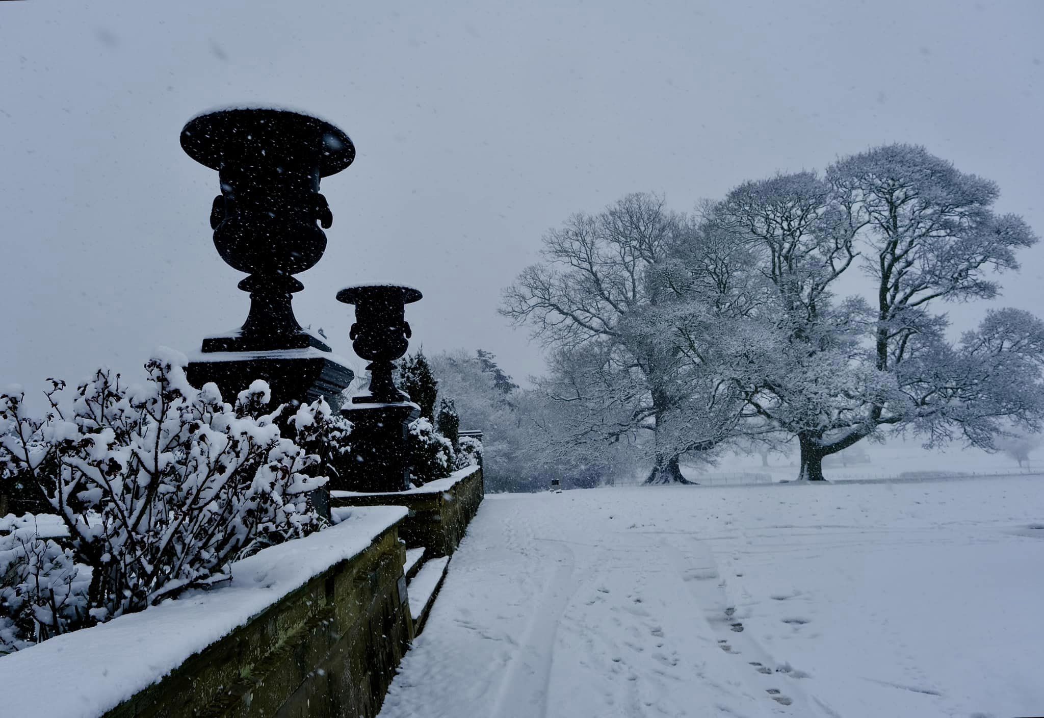 Whiteout at Wynnstay. Picture: Alan Brace