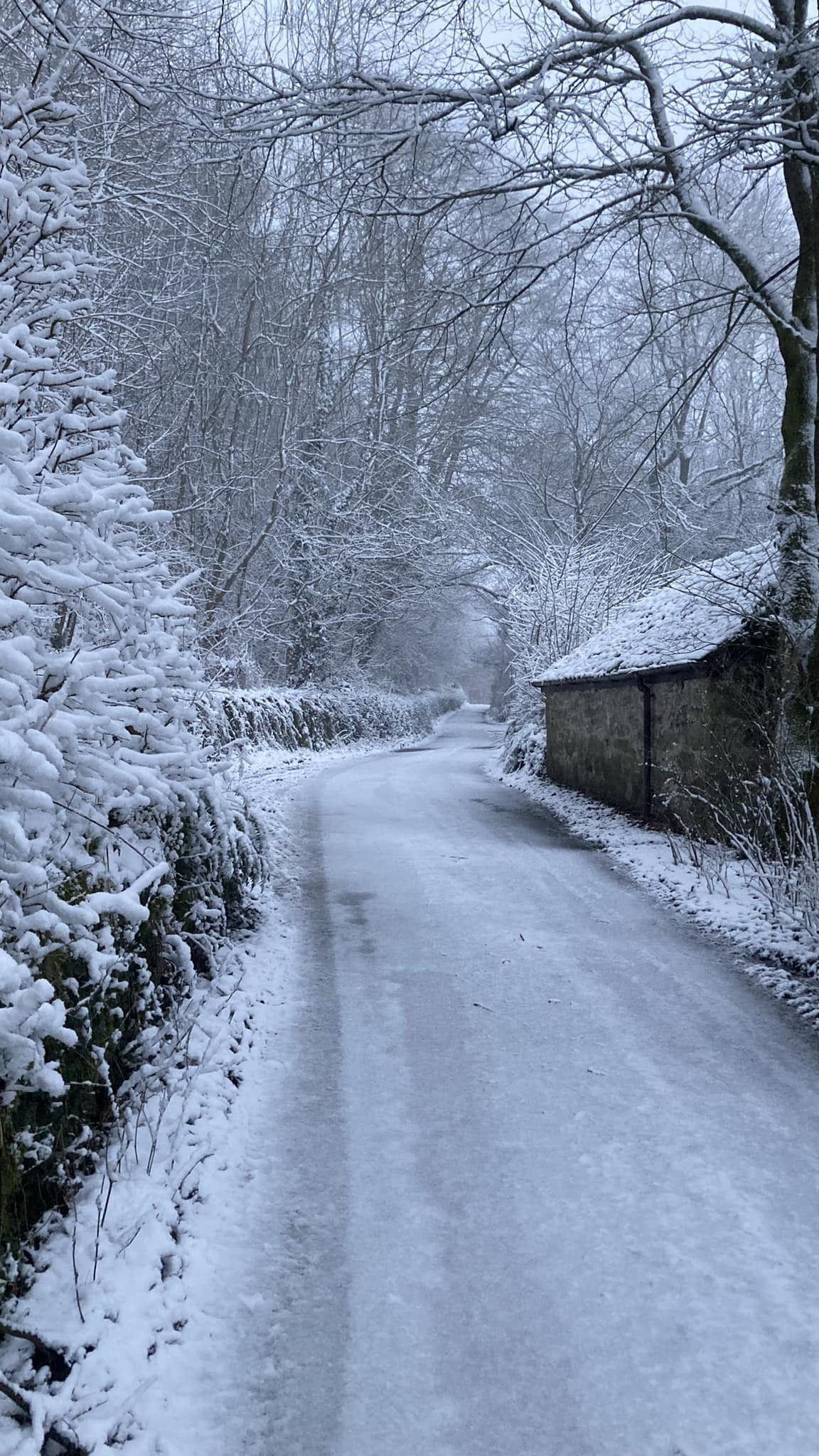 Swan Lane, Gwernymynydd. Picture: Adam Williams