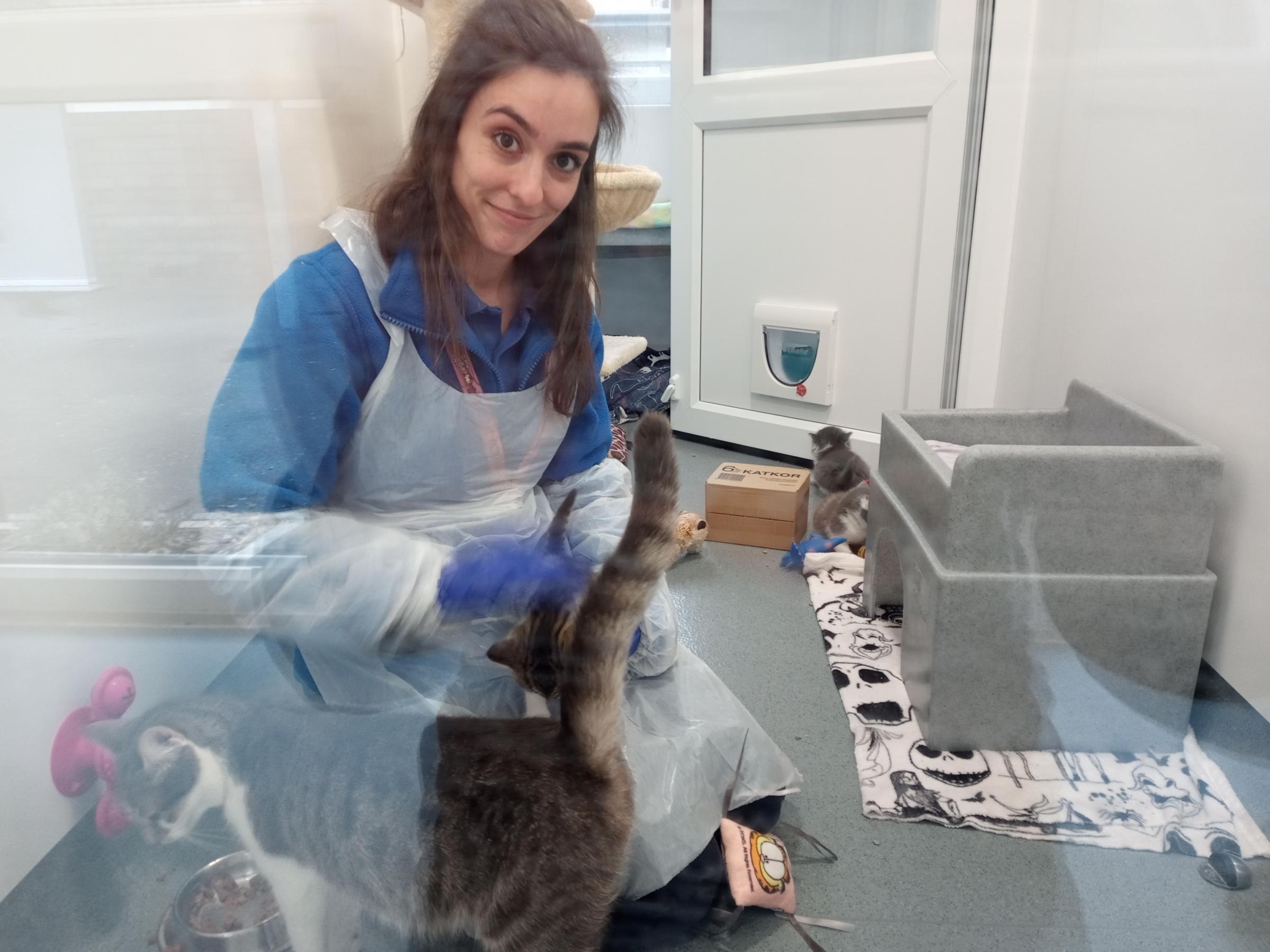 Jessie Nicholson with a new mum Cookie and her kittens.