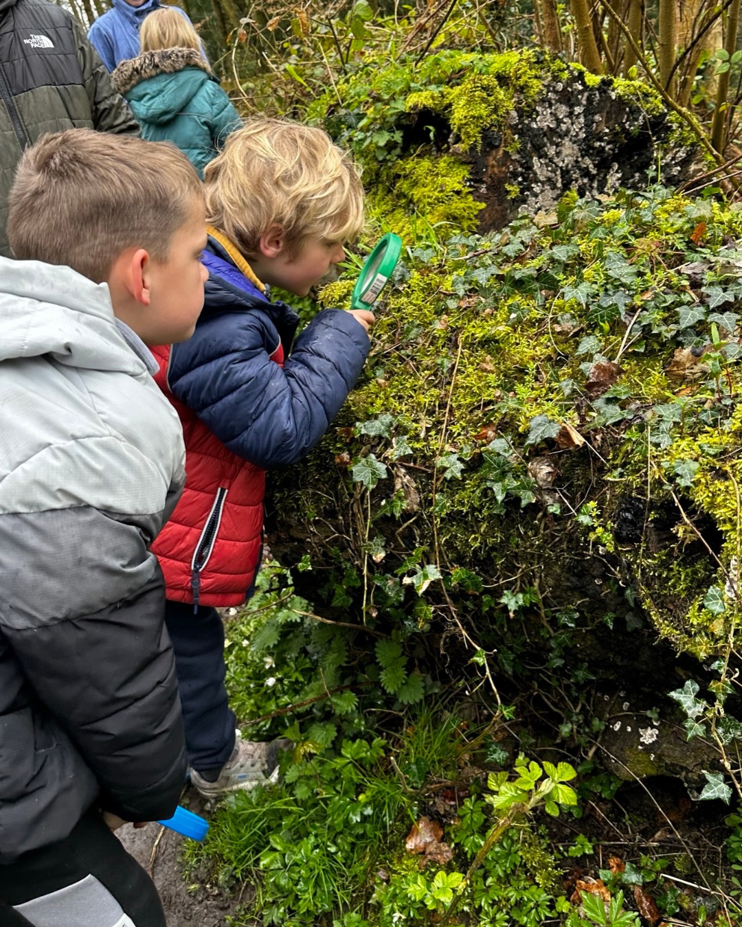 Woodland Wellbeing Day - Kian Hesp and Max Chadwick