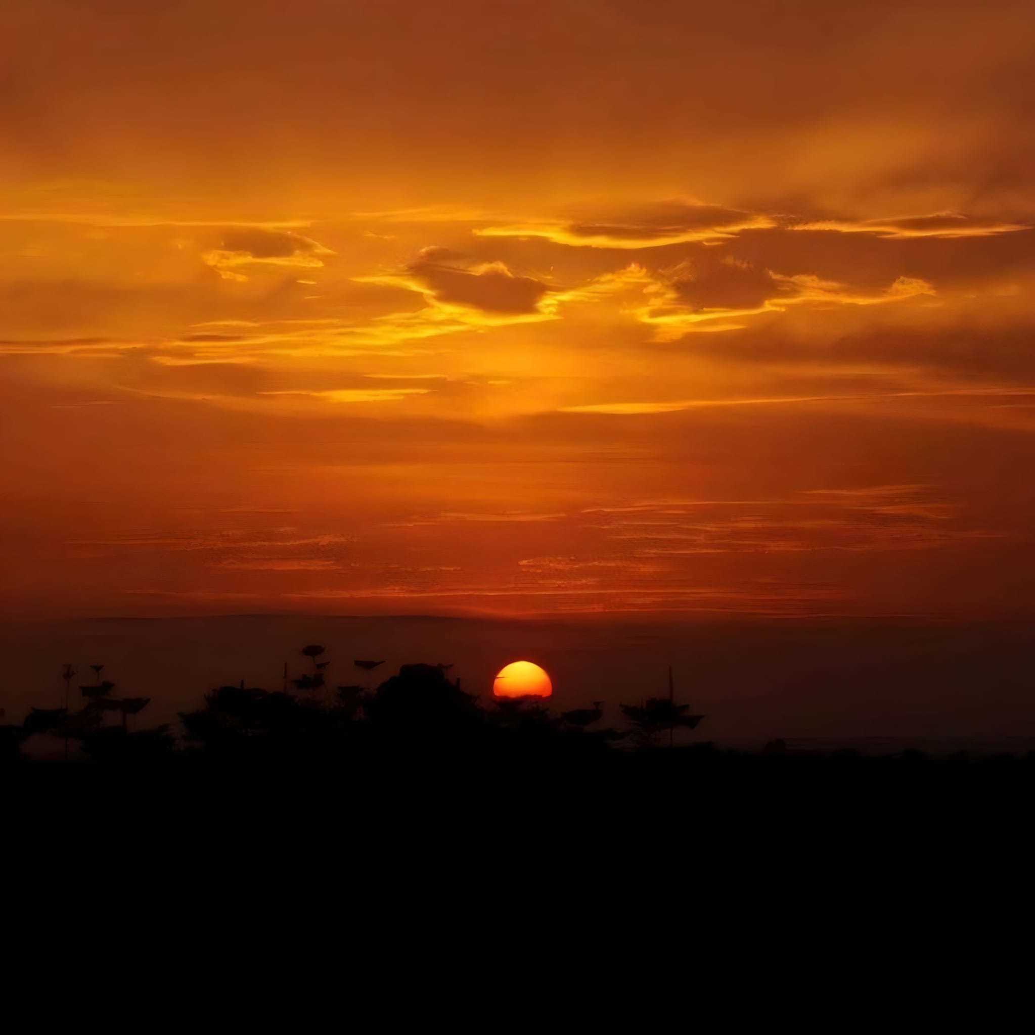 Mount Elgon, Uganda. Picture: Kelly Hoobs