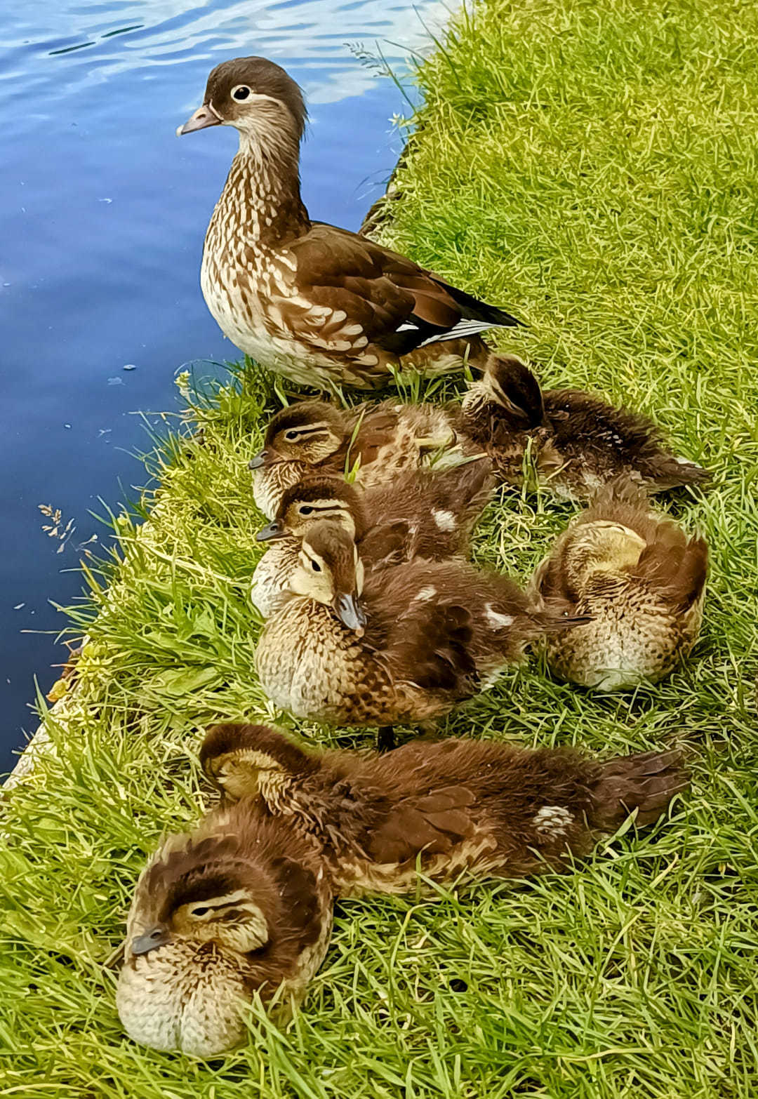 Family on the canal. Picture: Alix Langton