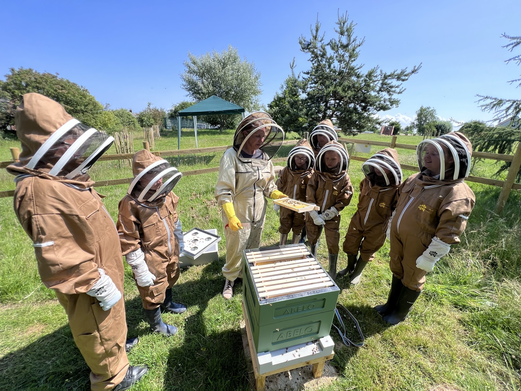 Beekeeping at Ysgol Bryn Garth.