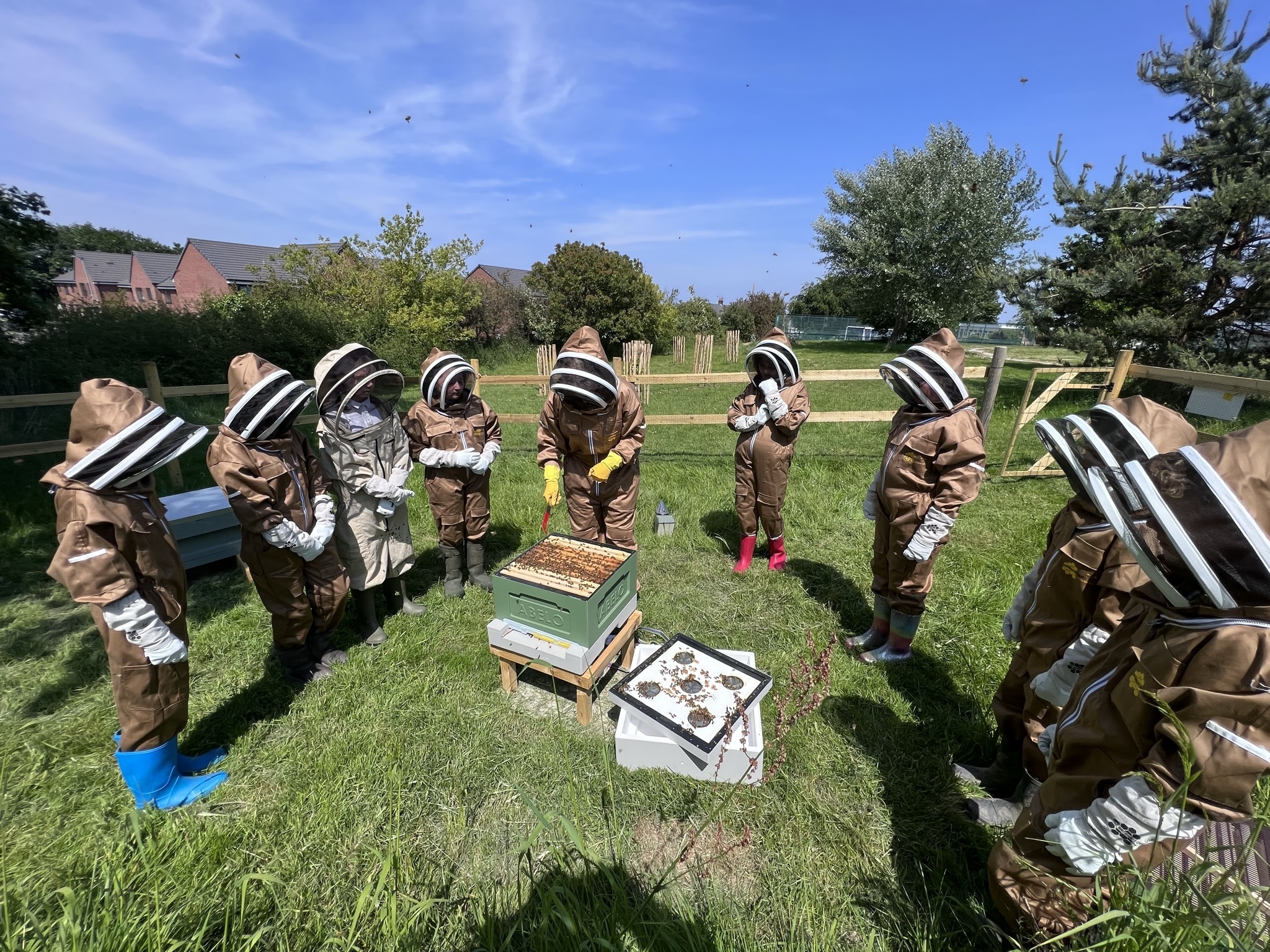 Sioux Waller shows children at Ysgol Bryn Garth how to handle the bee hives.