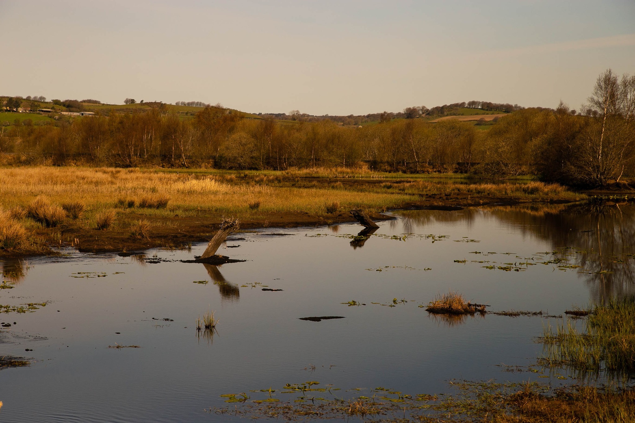 Tregaron Bog. Picture: Stephen Harvey