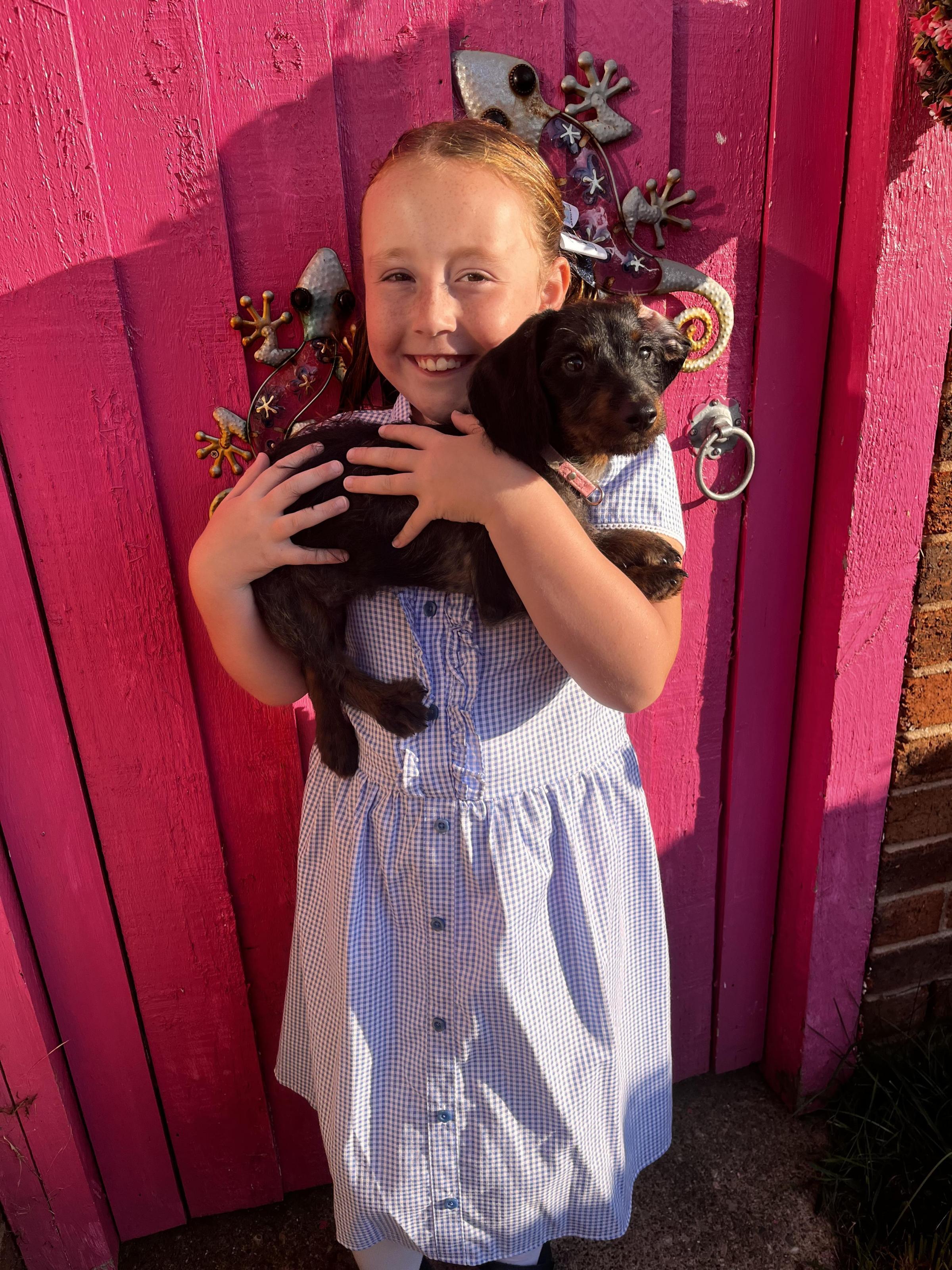 Dani Barron, from Penycae: Isla Rose and her pup Freya enjoying some snuggles before first day of Year 4 at Ysgol Penycae.