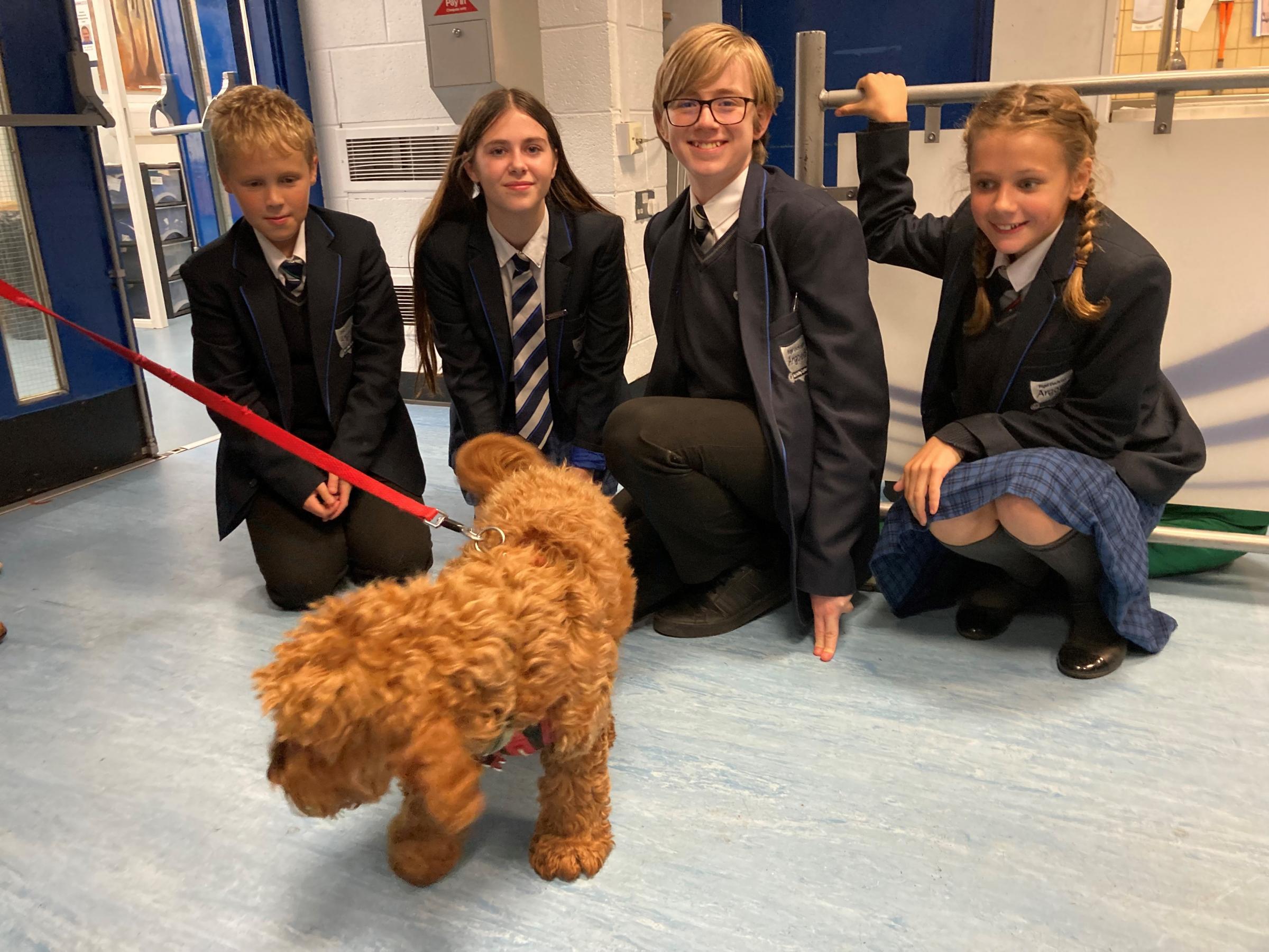 Evan Cooper, Millie-May Griffiths, Jake Heywood, and Mikaela Tanner with Islay, the schools wellbeing dog.