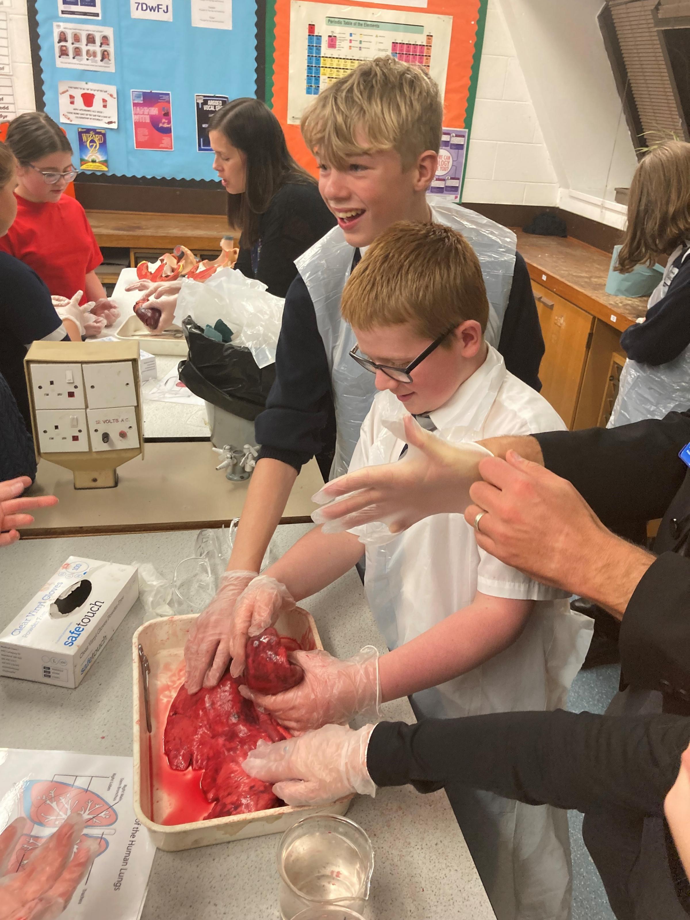 Will Quinlan and Alex Heaton, Year 8, demonstrate a practical science activity using lungs.