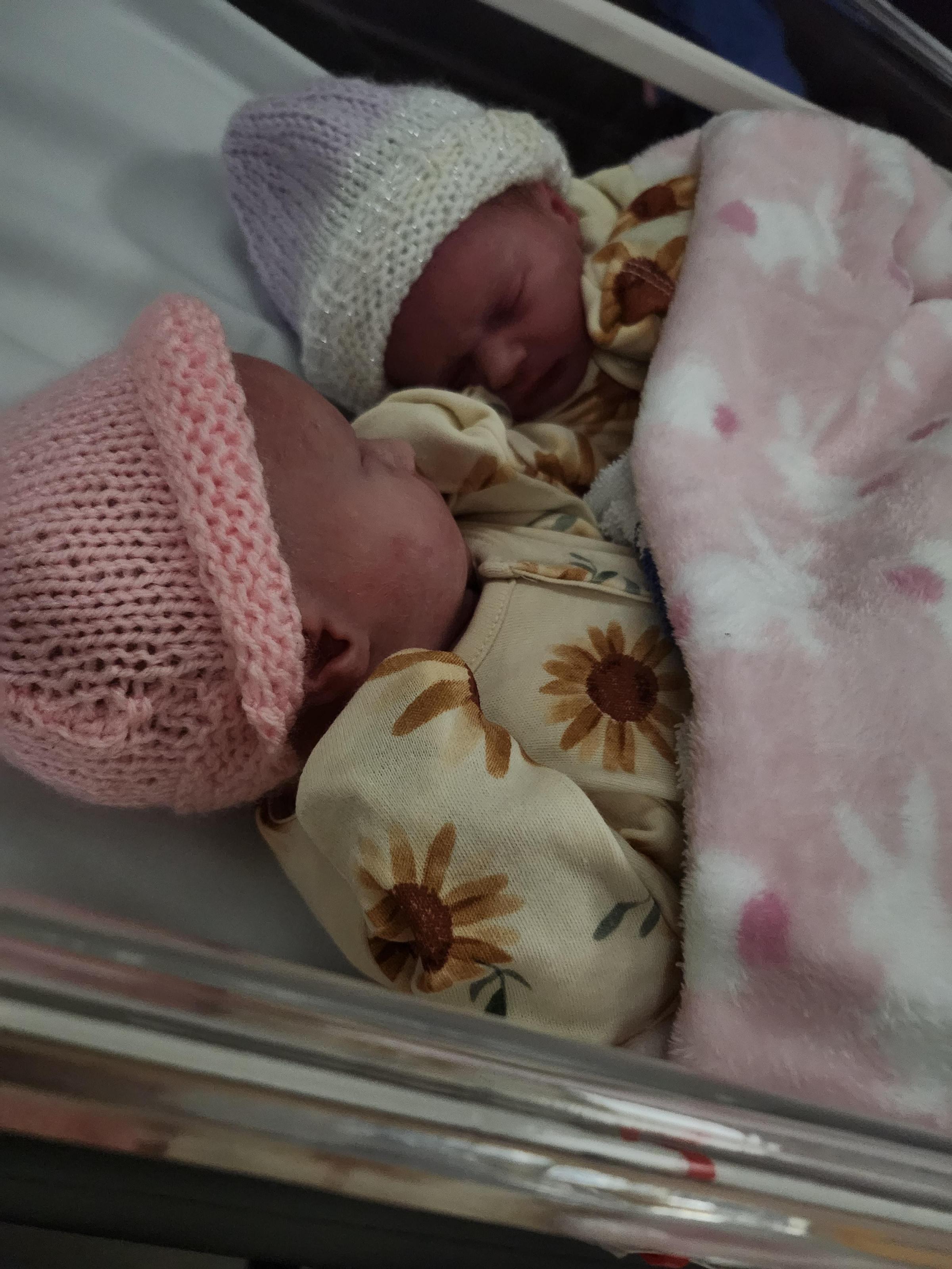 Evelyn Rose Valentine and Layla Marie Valentine.