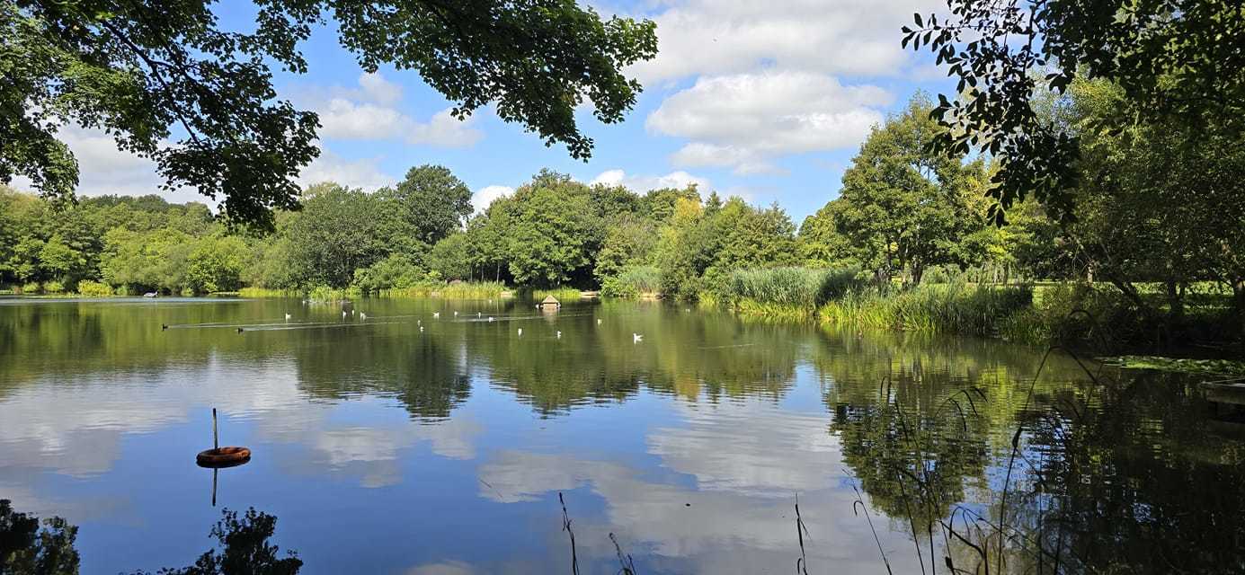 Acton Park. Picture: Tracey Hallmark