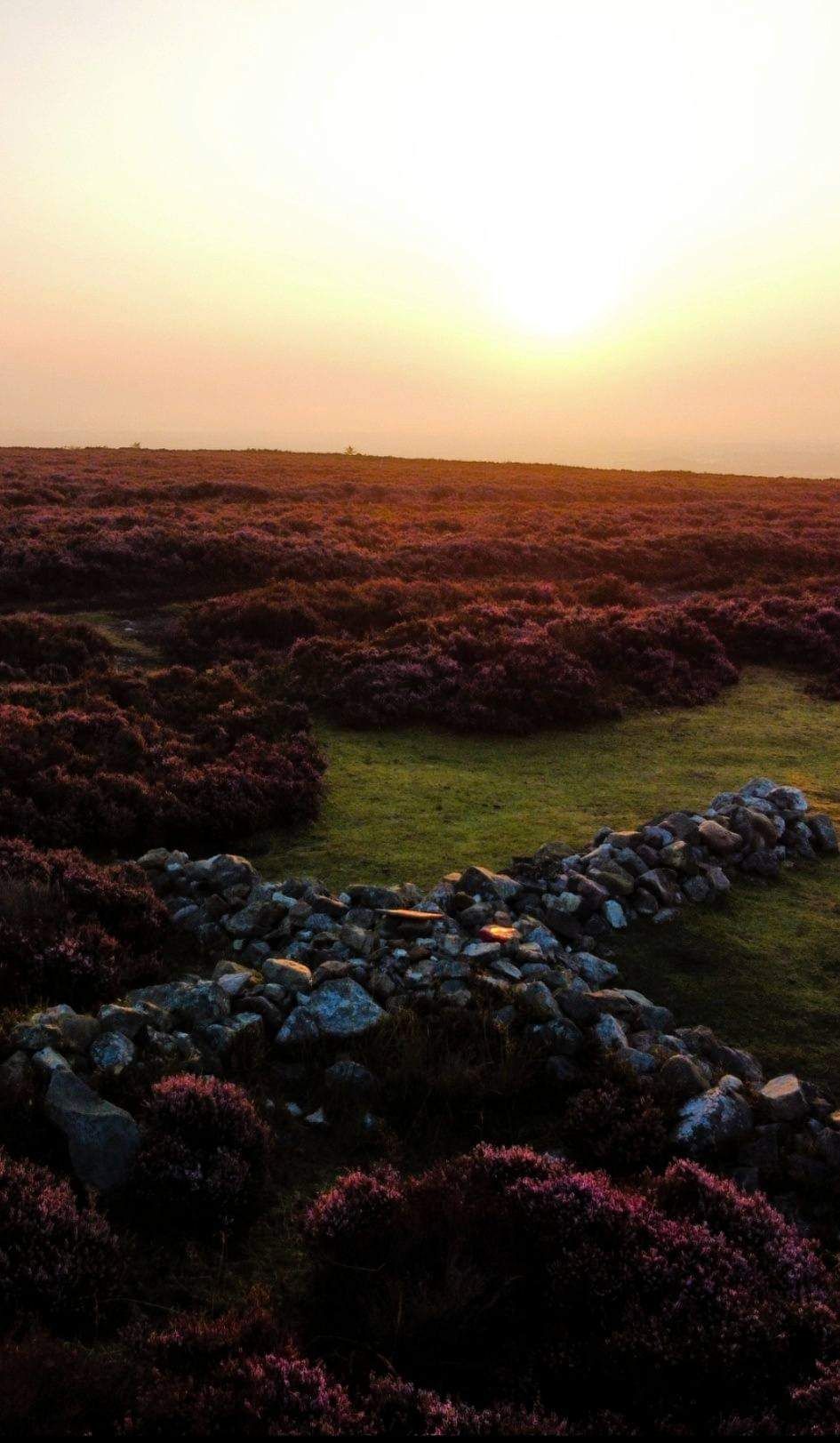 Airmans Grave at sunrise on Ruabon Mountain. Photo: Jay Outdoors