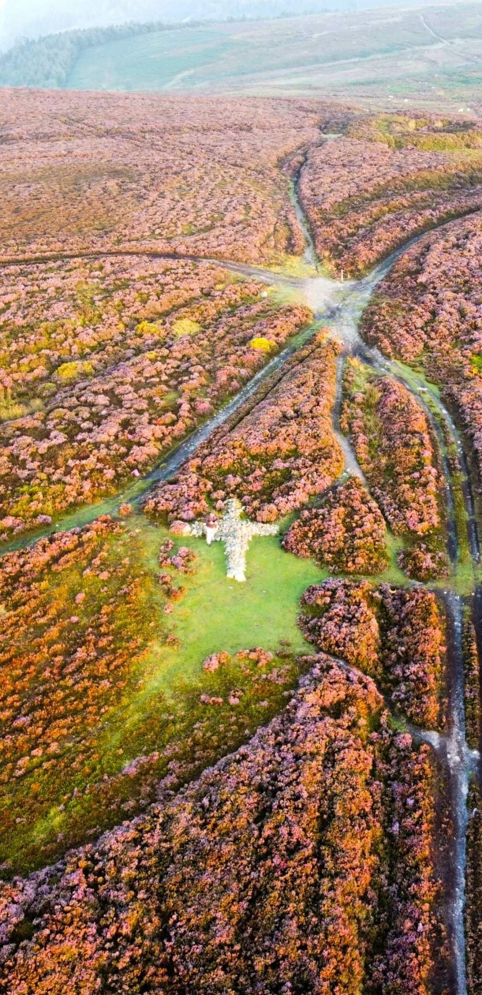 Airmans Grave on Ruabon Mountain. Photo: Jay Outdoors