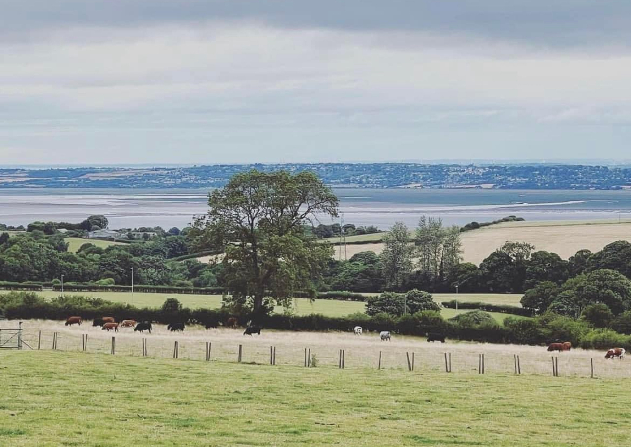 Stunning views from the Britannia Inn, Halkyn.