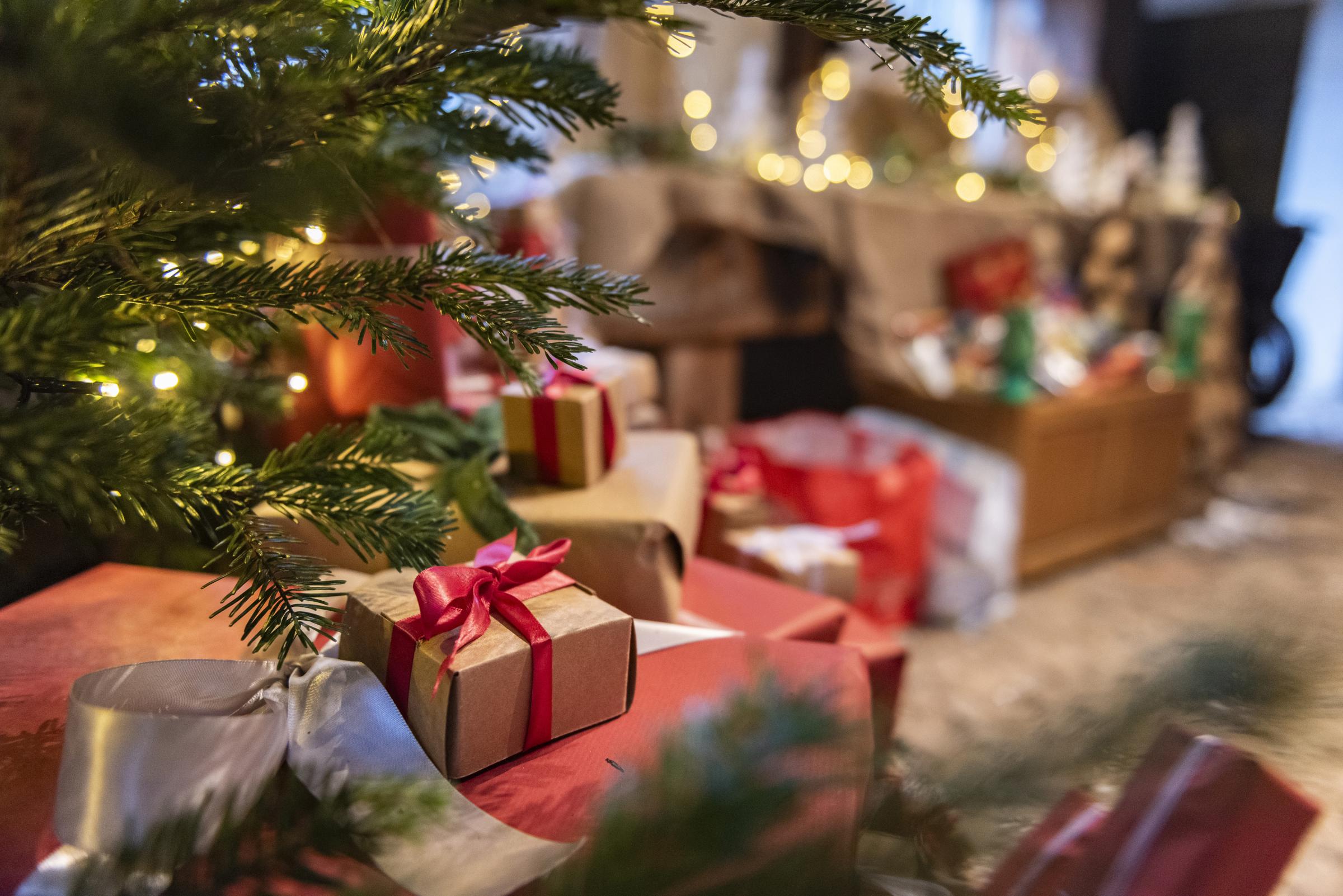 Christmas at Erddig, and Gardens, Wrexham.Photo: National Trust Images/Paul Harris