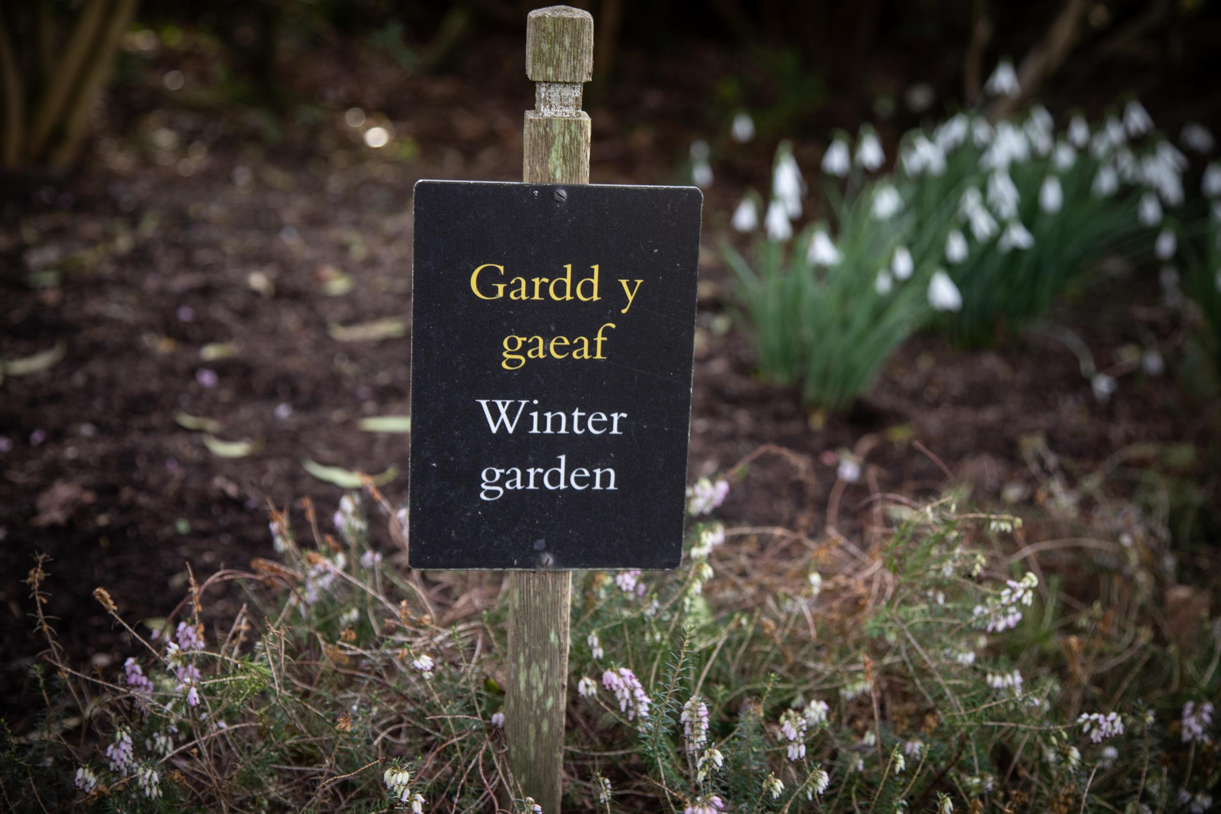 Winter Garden sign at Bodnant Garden, Conwy. Photo: National Trust Images/Paul Harris