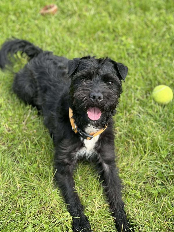 Archimedes, waiting for adoption from NCAR.